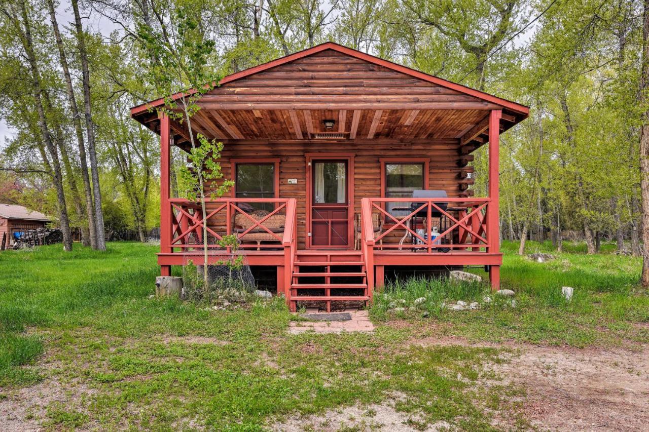 Cozy Colorado Cabin With Deck, Grill And River Access! 부에나 비스타 외부 사진