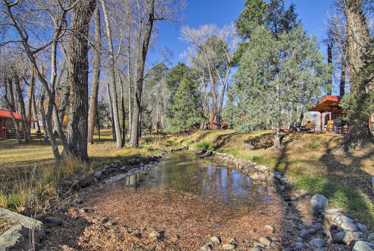 Cozy Colorado Cabin With Deck, Grill And River Access! 부에나 비스타 외부 사진