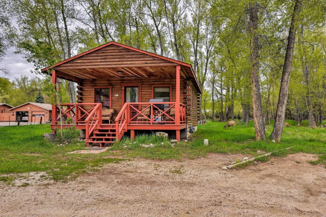 Cozy Colorado Cabin With Deck, Grill And River Access! 부에나 비스타 외부 사진