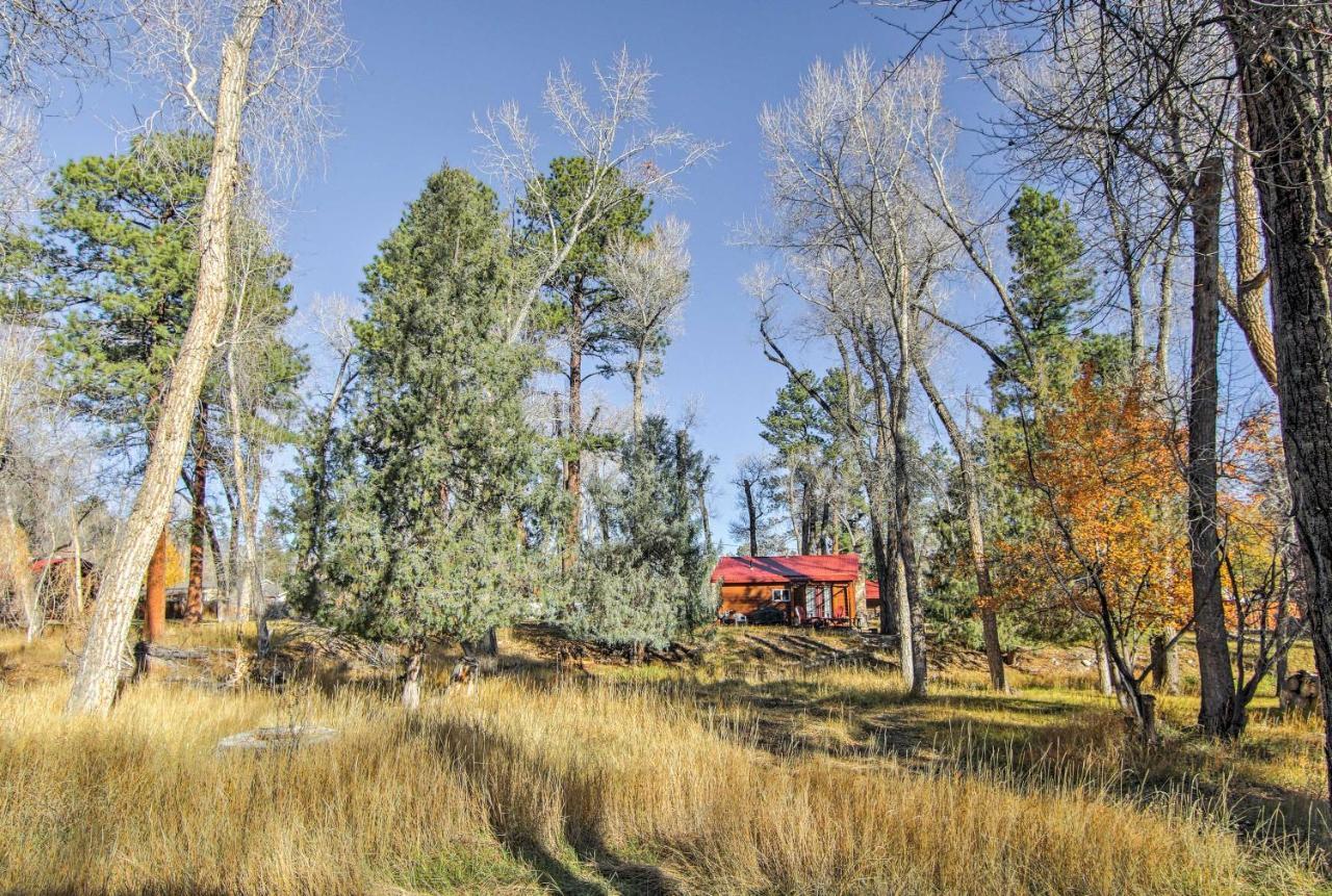 Cozy Colorado Cabin With Deck, Grill And River Access! 부에나 비스타 외부 사진